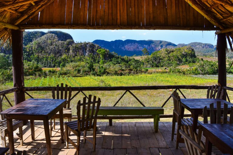 Adjective Introduction Lesson chido in Spanish: Meaning, Usage and Examples