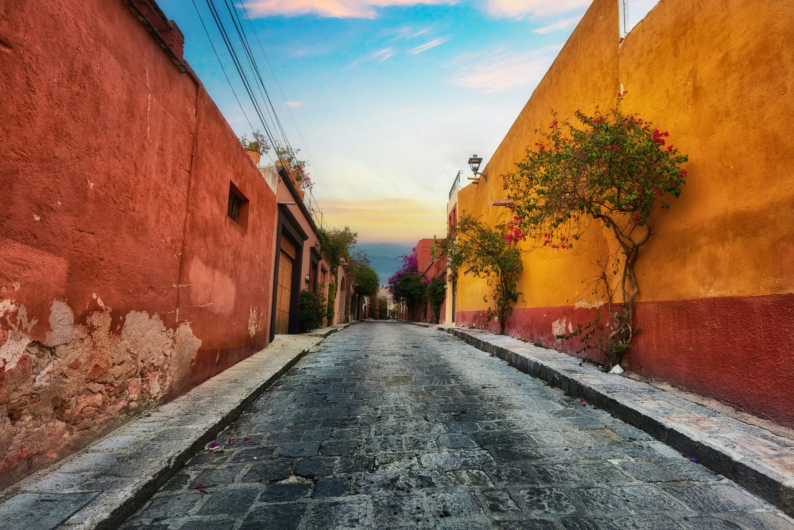Generic stylish background image for vocabulary article: "seguro"