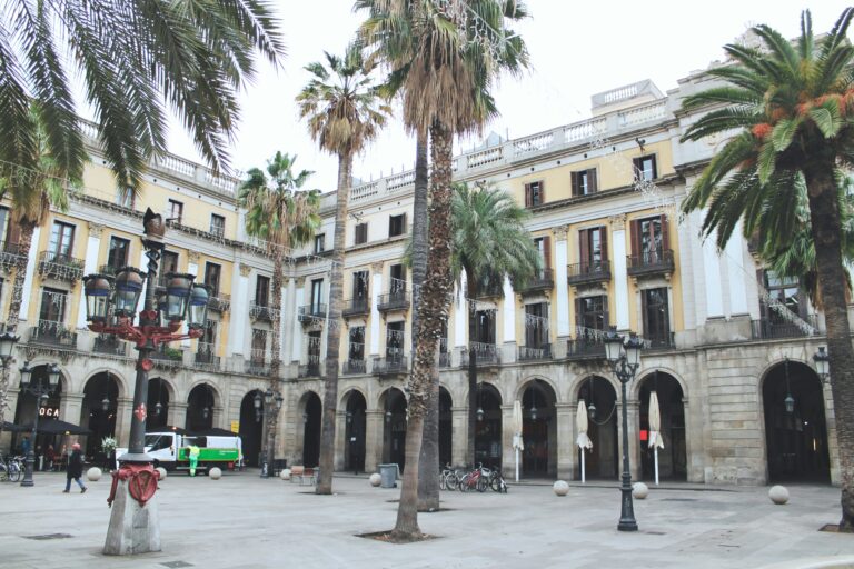 How to use “Mirar” in Spanish simple examples | SpanishStep